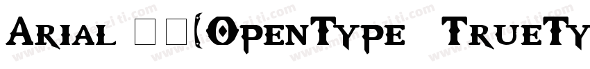 Arial 常现(OpenType   TrueType) (Vers字体转换